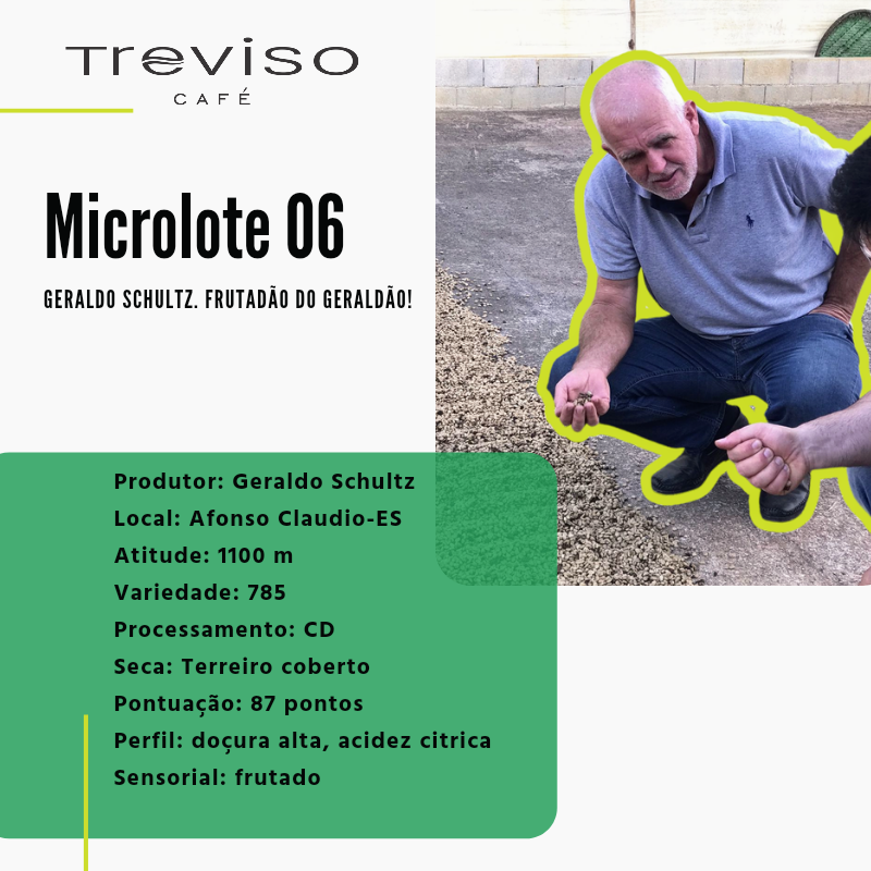Microlote 06